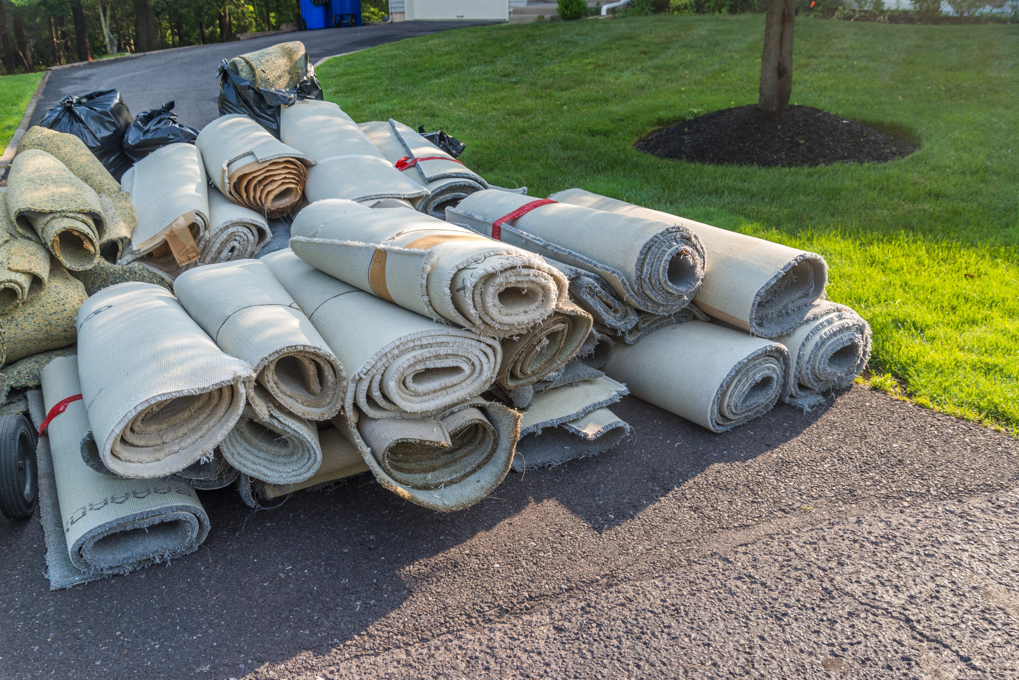 Carpet Removal Service In Boring