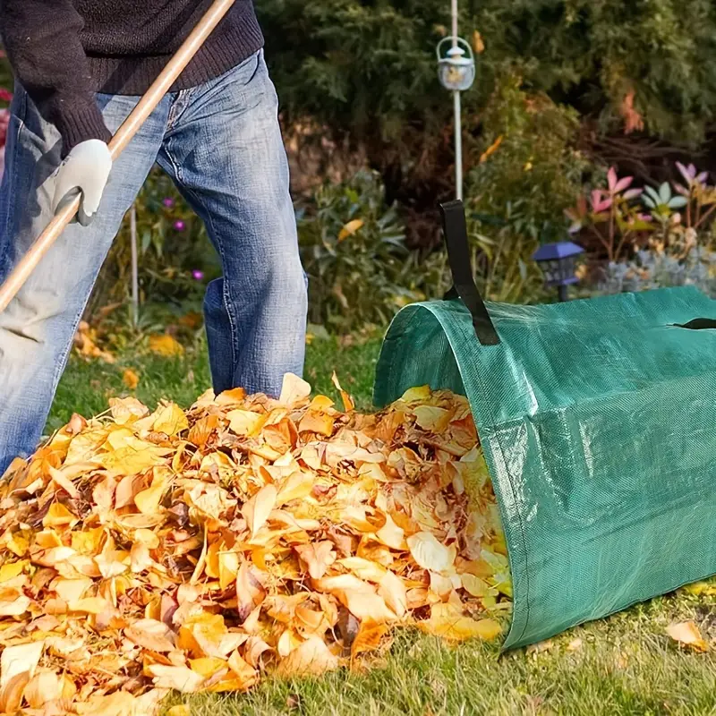Yard Waste Pickup and Disposal Service In Boring