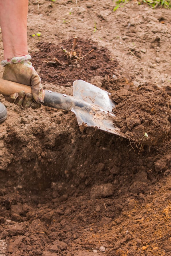 Dirt, Rock, Soil Removal Service In Boring