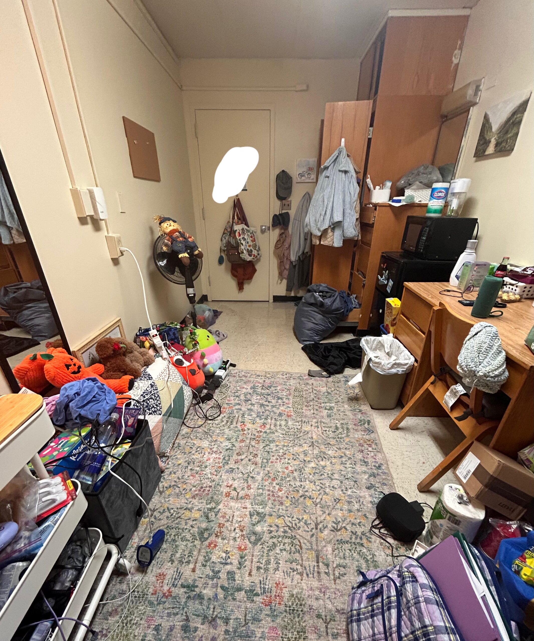 Dorm Room Cleanout Service In Boring