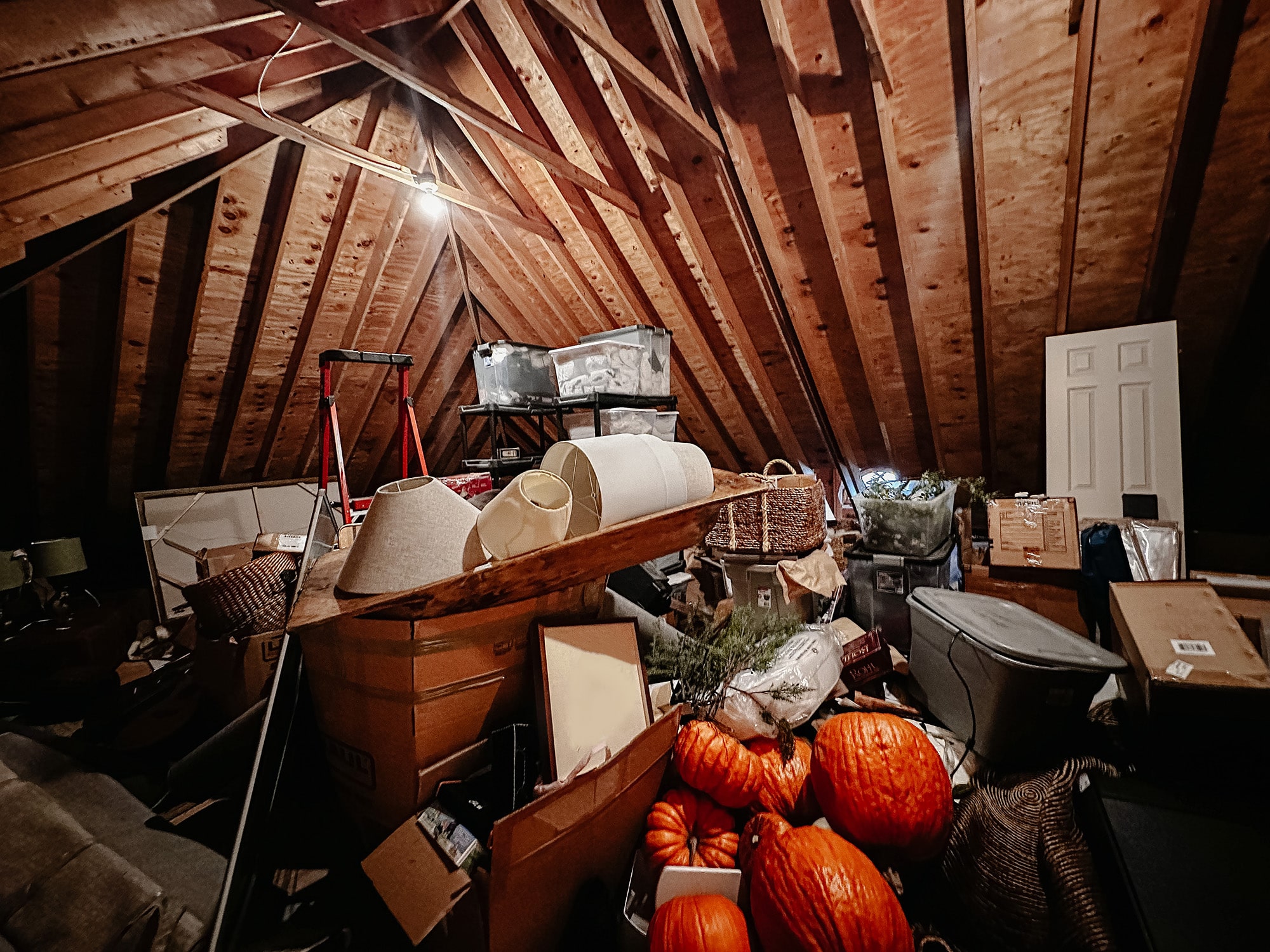 Attic Cleanout Service In Boring