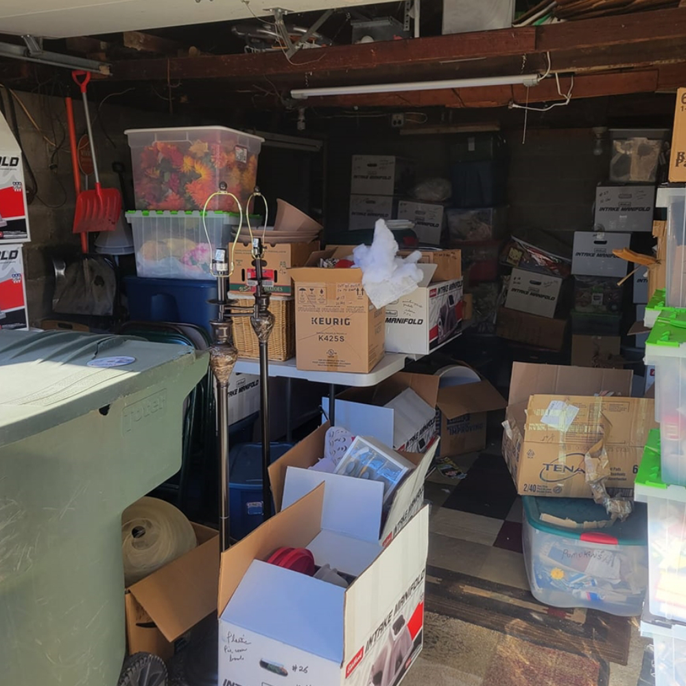 Junk Removal Cleanout In Boring