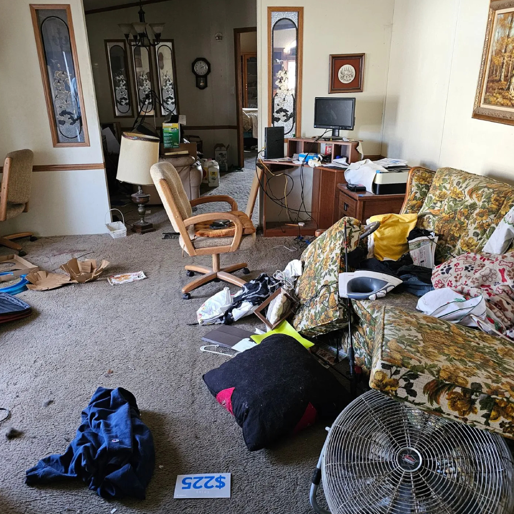 Junk Removal Cleanout In Boring