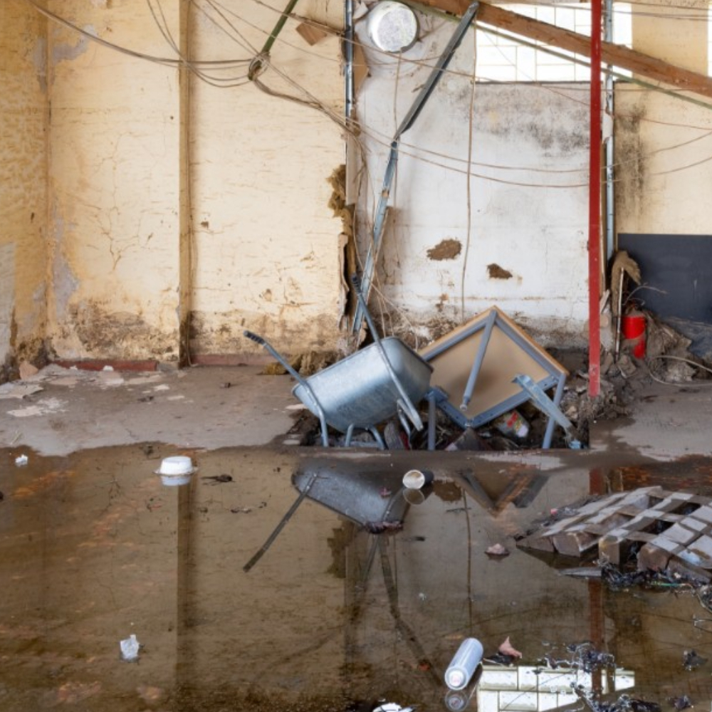Junk Removal Cleanout In Boring