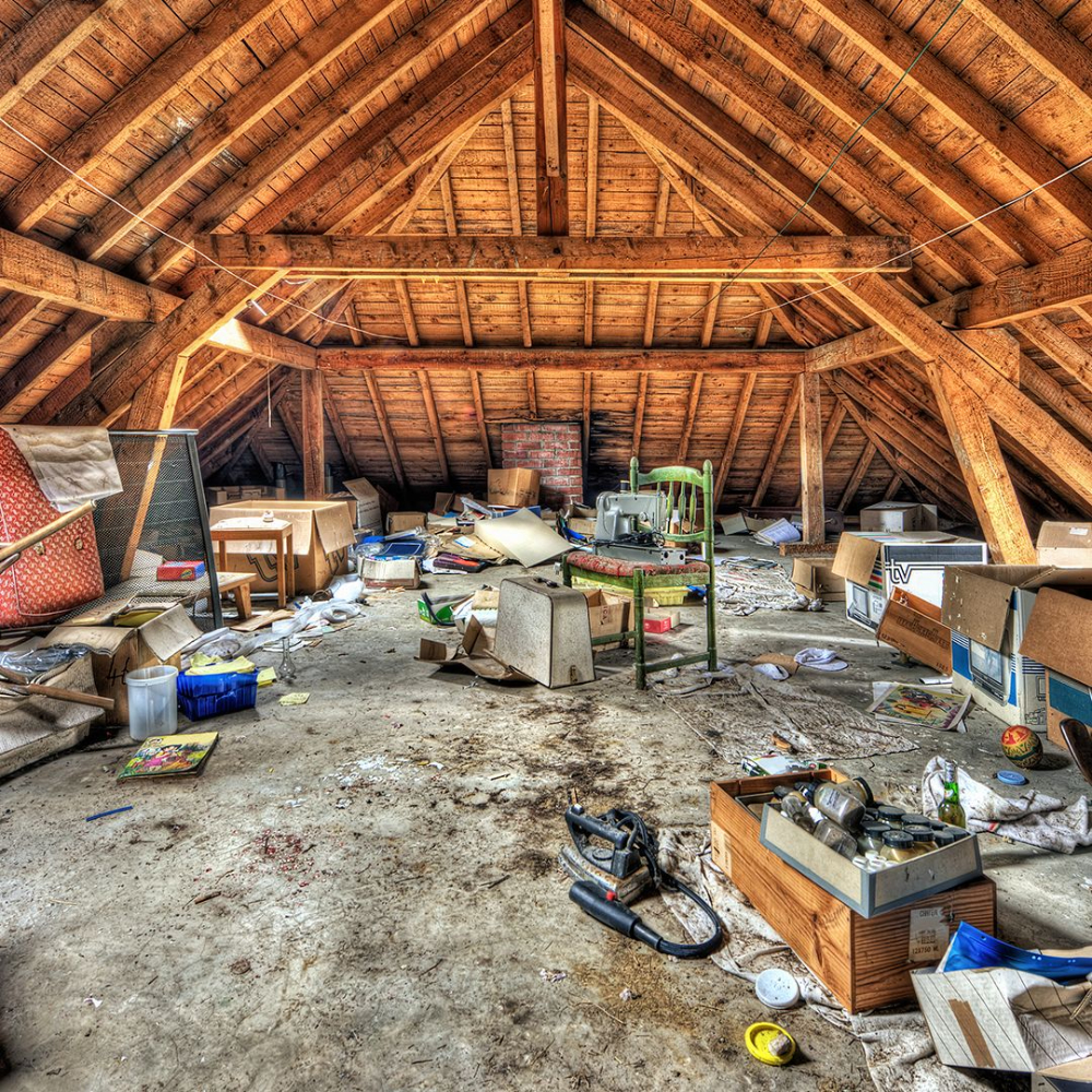 Junk Removal Cleanout In Boring