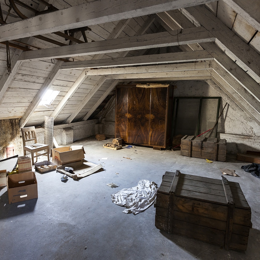Attic Cleanout Service In Boring