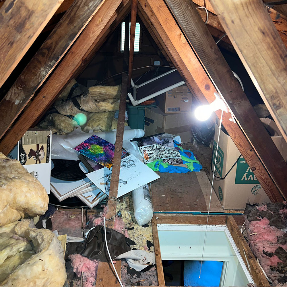 Attic Cleanout Service In Boring