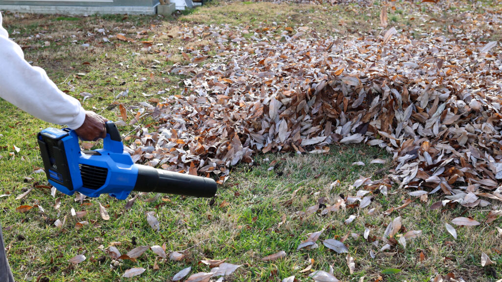 Yard Waste Pickup and Disposal Service In Boring