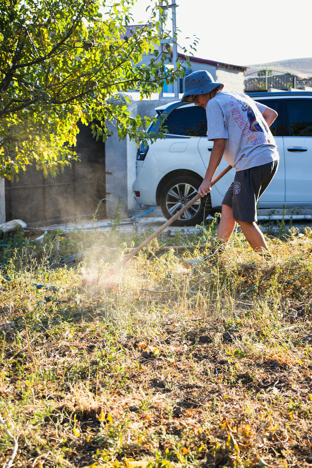 Yard Waste Pickup and Disposal Service In Boring
