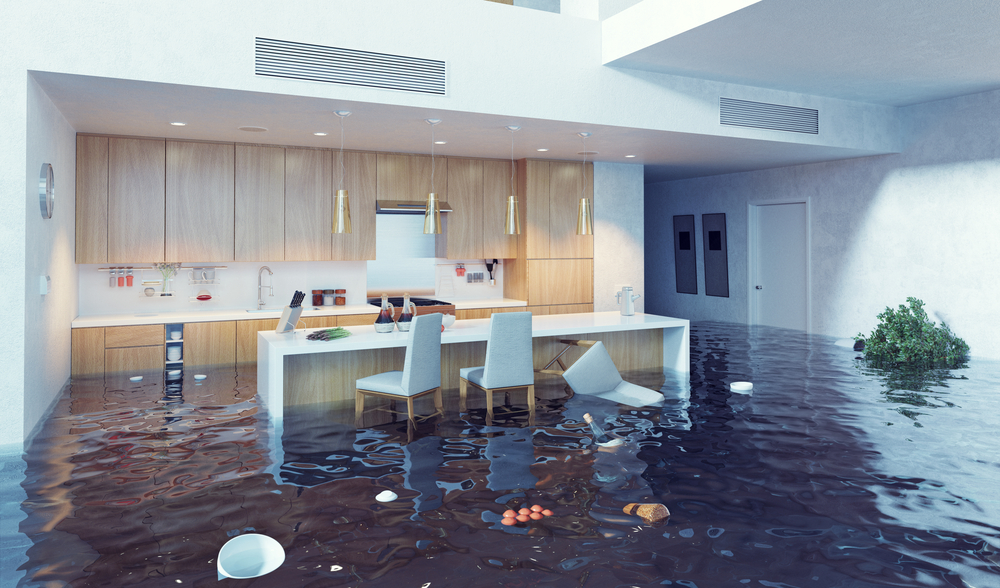 Flood Damage Cleanout Service In Boring