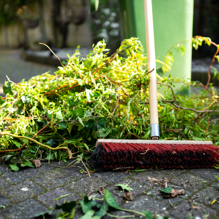 Yard Waste Pickup and Disposal Service In Boring