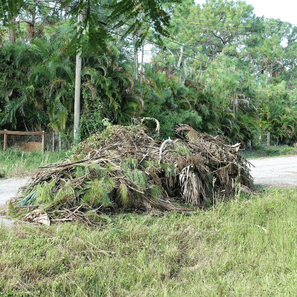 Yard Waste Pickup and Disposal Service In Boring